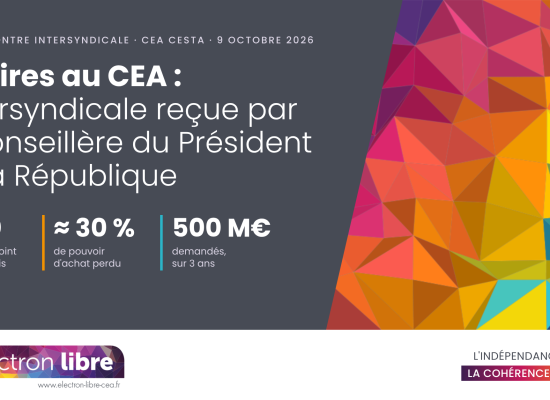 Visuel_rencontre_intersyndicale_CEA_LinkedIn
